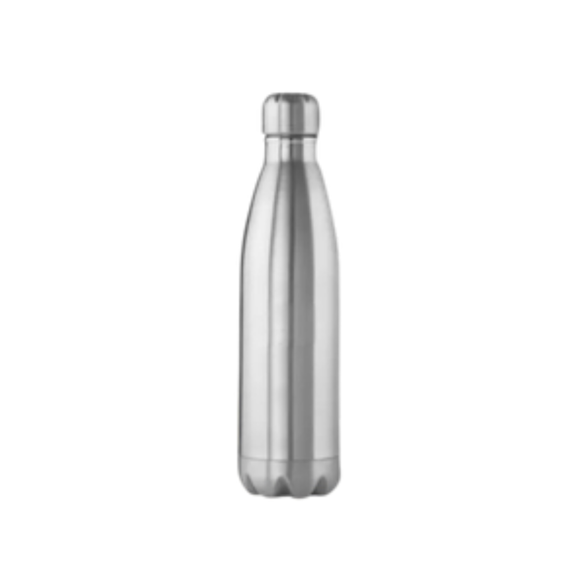 Premium Water Bottle Silver Finish(750ml)