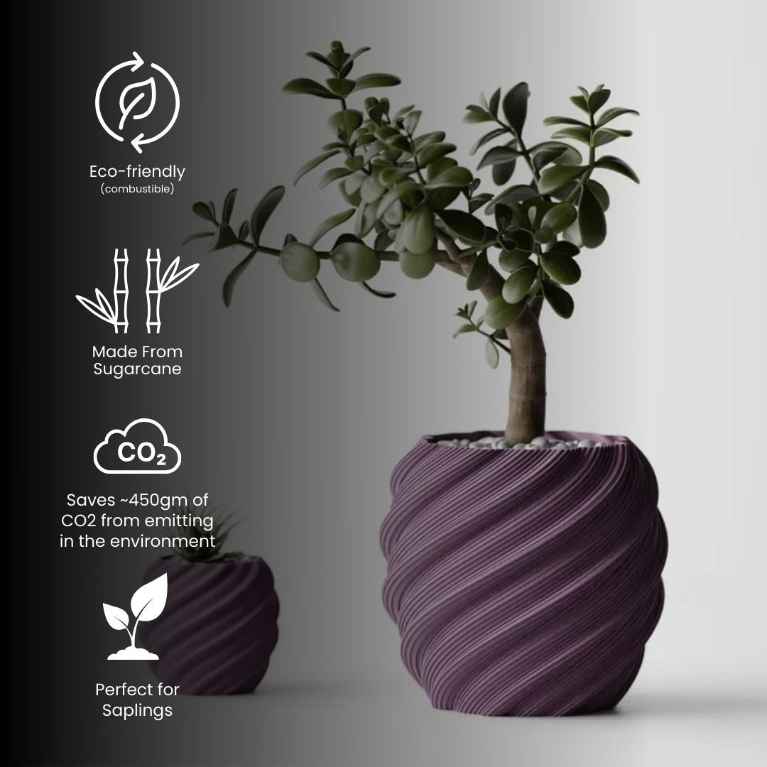 Velora Line Pot