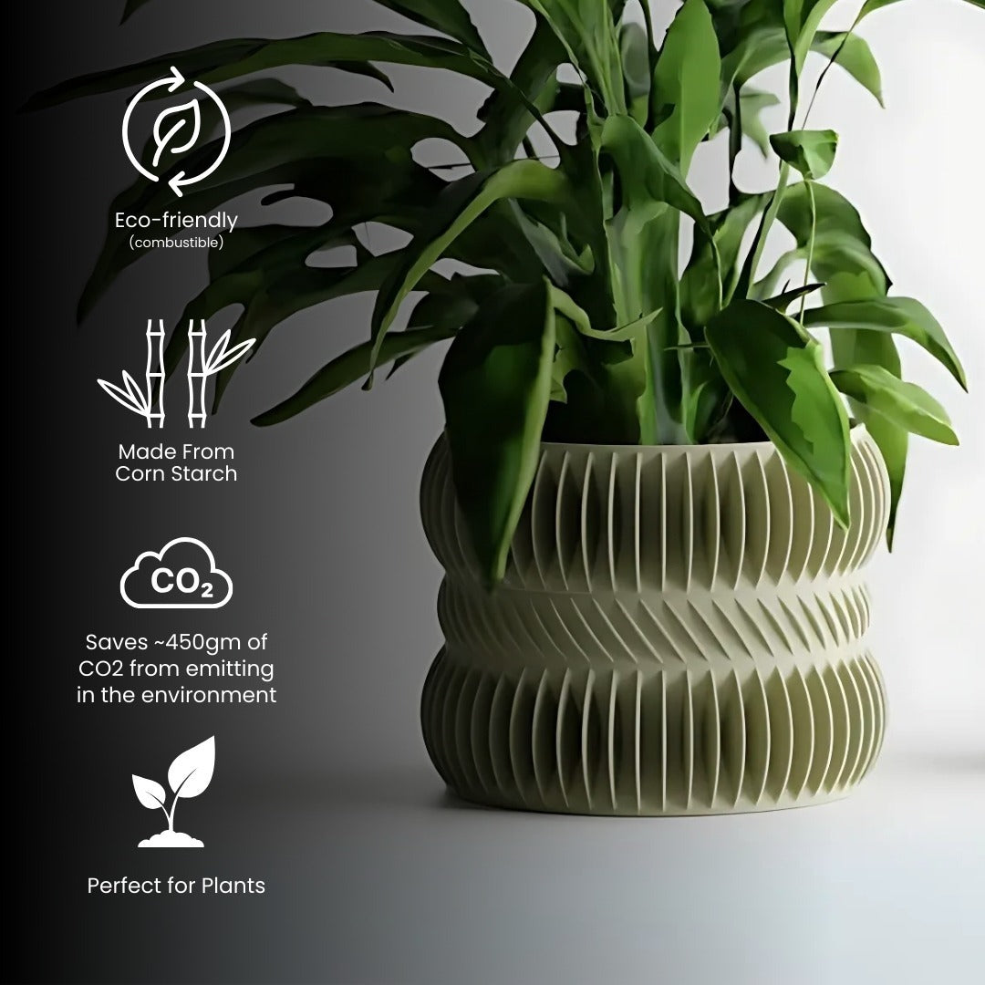 Veloura Curve Pot