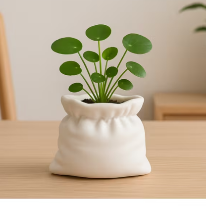 Minimalist Indoor Planter