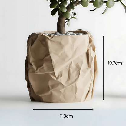 Cravelle Planter