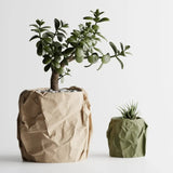 Cravelle Planter