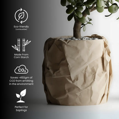 Cravelle Planter
