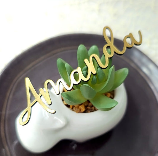 Laser Cut Acrylic Name Tags